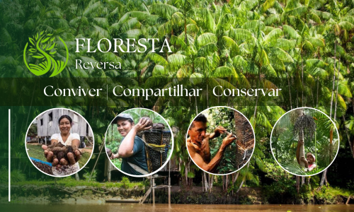 Manifesto Floresta Reversa: Um Compromisso com a Amazônia e as Comunidades Ribeirinhas